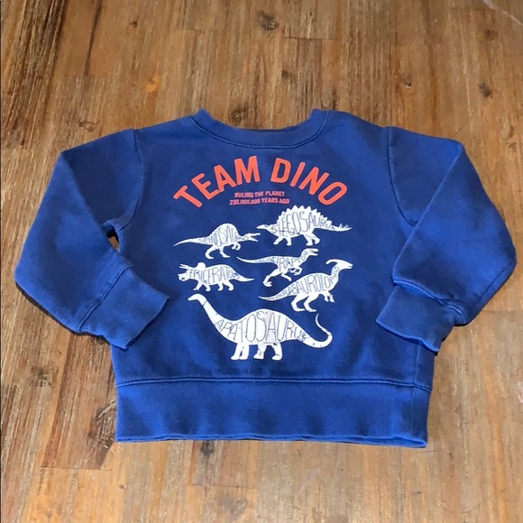 H&M Other - H&M 1.5-2 Years Boys Dinosaur Sweatshirt